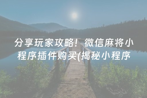 分享玩家攻略！微信麻将小程序插件购买(揭秘小程序助赢神器购买)