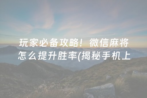 玩家必备攻略！微信麻将怎么提升胜率(揭秘手机上助赢神器购买)