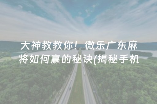 大神教教你！微乐广东麻将如何赢的秘诀(揭秘手机上辅牌器)