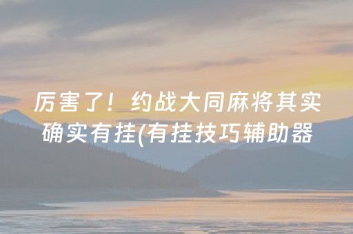 厉害了！约战大同麻将其实确实有挂(有挂技巧辅助器)