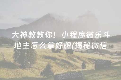 大神教教你！小程序微乐斗地主怎么拿好牌(揭秘微信里助赢神器购买)