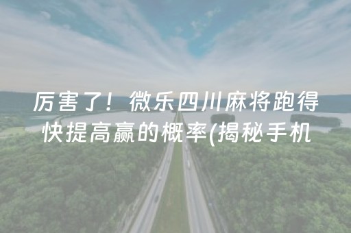 厉害了！微乐四川麻将跑得快提高赢的概率(揭秘手机上攻略插件)