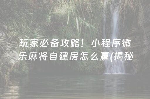 玩家必备攻略！小程序微乐麻将自建房怎么赢(揭秘微信里提高胜率)