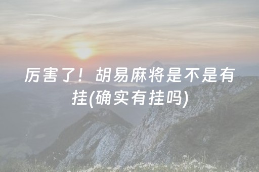 厉害了！胡易麻将是不是有挂(确实有挂吗)