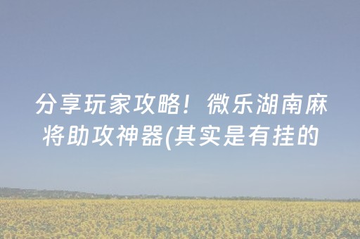 分享玩家攻略！微乐湖南麻将助攻神器(其实是有挂的)