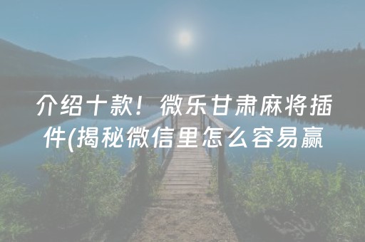 介绍十款！微乐甘肃麻将插件(揭秘微信里怎么容易赢)