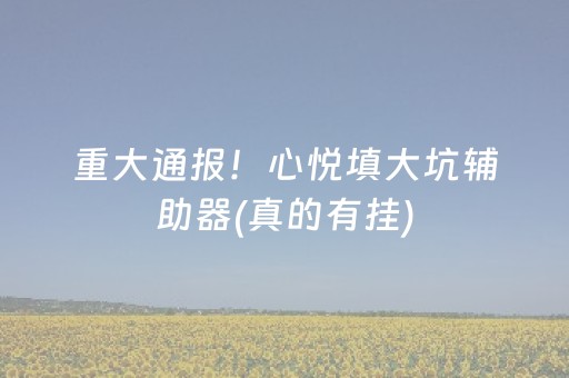 重大通报！心悦填大坑辅助器(真的有挂)