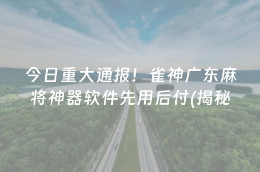 今日重大通报！雀神广东麻将神器软件先用后付(揭秘手机上确实有猫腻)