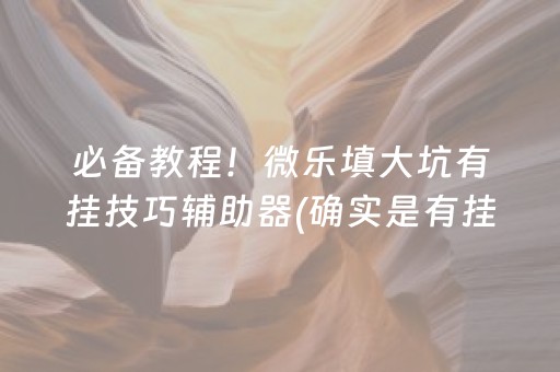 必备教程！微乐填大坑有挂技巧辅助器(确实是有挂的)