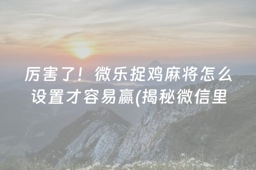 厉害了！微乐捉鸡麻将怎么设置才容易赢(揭秘微信里赢的诀窍)