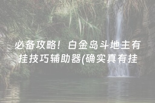 必备攻略！白金岛斗地主有挂技巧辅助器(确实真有挂)