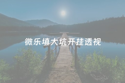 微乐填大坑开挂透视（微乐填大坑透视挂免费交流群）