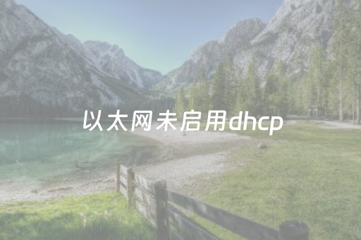 以太网未启用dhcp（以太网未启用dhcp怎么解决win11）