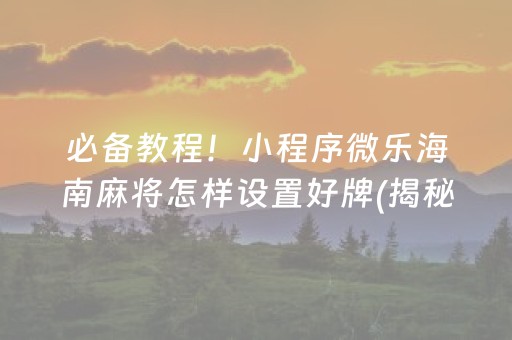 必备教程！小程序微乐海南麻将怎样设置好牌(揭秘微信里辅牌器)