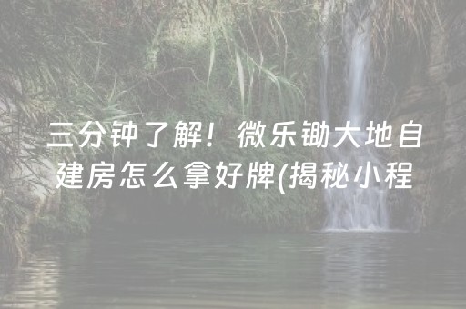 三分钟了解！微乐锄大地自建房怎么拿好牌(揭秘小程序自建房怎么赢)