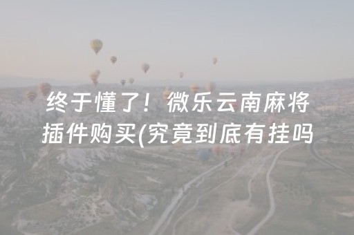 终于懂了！微乐云南麻将插件购买(究竟到底有挂吗)