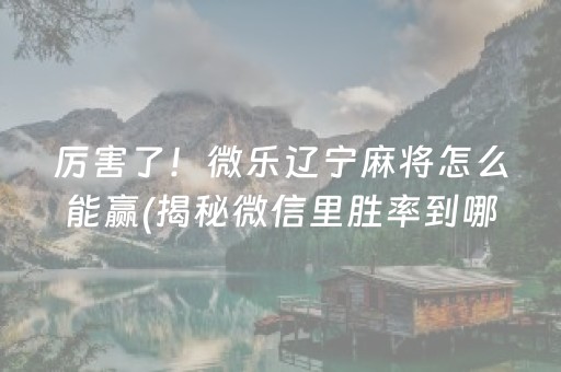 厉害了！微乐辽宁麻将怎么能赢(揭秘微信里胜率到哪调)