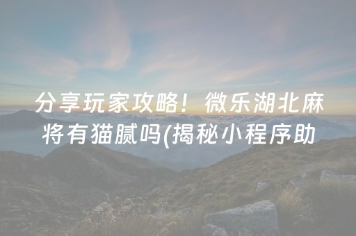 分享玩家攻略！微乐湖北麻将有猫腻吗(揭秘小程序助赢神器购买)