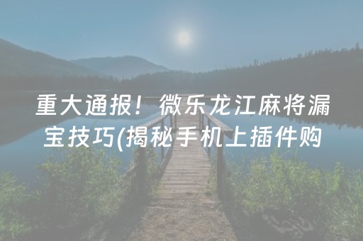 重大通报！微乐龙江麻将漏宝技巧(揭秘手机上插件购买)