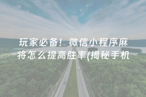 玩家必备！微信小程序麻将怎么提高胜率(揭秘手机上赢牌的技巧)