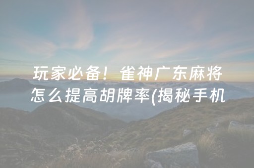 玩家必备！雀神广东麻将怎么提高胡牌率(揭秘手机上专用神器下载)