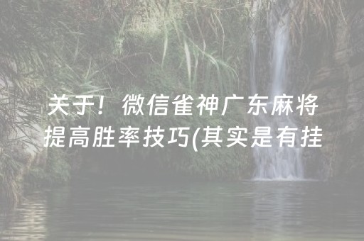 关于！微信雀神广东麻将提高胜率技巧(其实是有挂确实有挂)