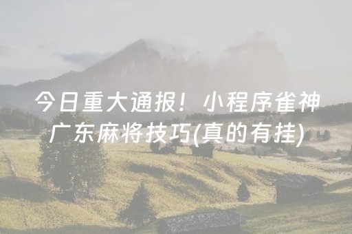 今日重大通报！小程序雀神广东麻将技巧(真的有挂)