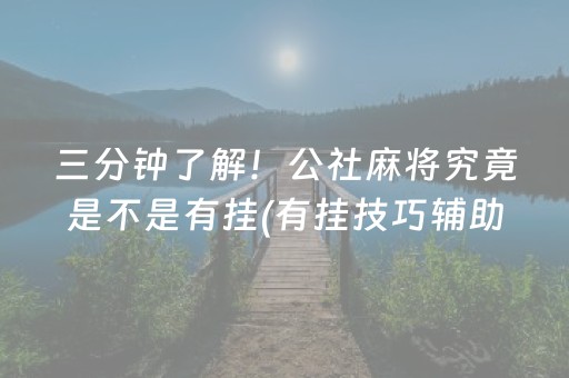 三分钟了解！公社麻将究竟是不是有挂(有挂技巧辅助器)