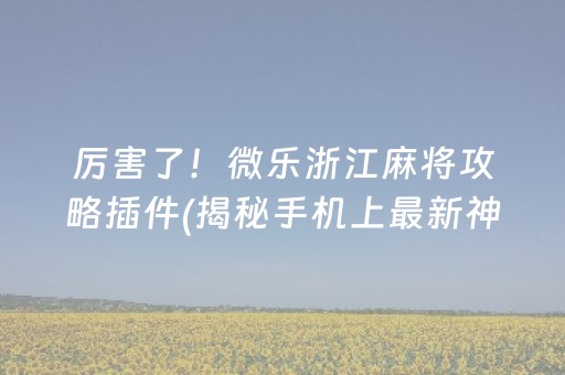 厉害了！微乐浙江麻将攻略插件(揭秘手机上最新神器下载)