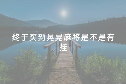 终于买到晃晃麻将是不是有挂（晃晃麻将玩法介绍）