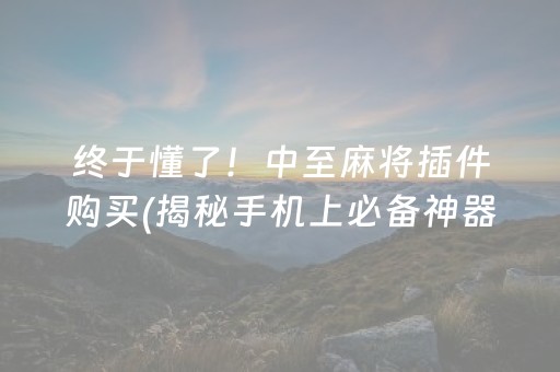 终于懂了！中至麻将插件购买(揭秘手机上必备神器)