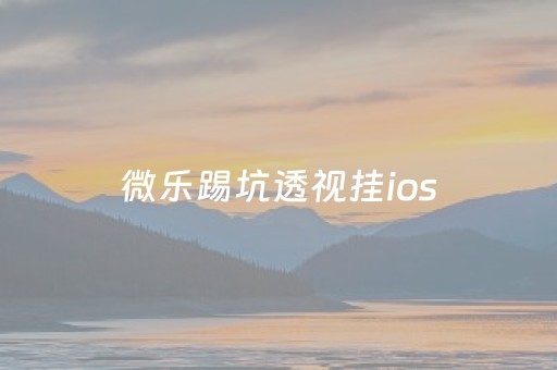 微乐踢坑透视挂ios（微乐踢坑透视挂）