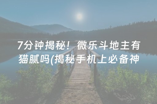 介绍十款！欢乐途游麻将确实有挂的(揭秘小程序提高赢的概率)