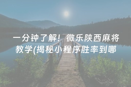 玩家必看攻略！海洋麻将确实有挂吗(确定是有挂)