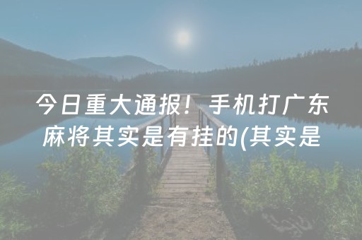 玩家必备攻略！家乡大贰到底能不能开挂(确实有挂吗)