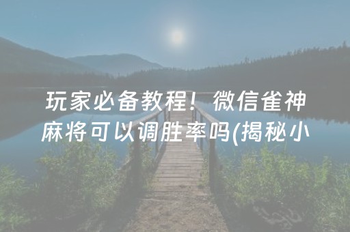 必备攻略！网易麻将其实是有挂确实有挂(其实是有挂的)