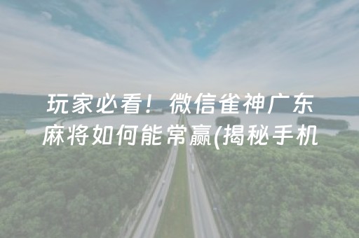 玩家必看！微信雀神广东麻将如何能常赢(揭秘手机上赢牌技巧)