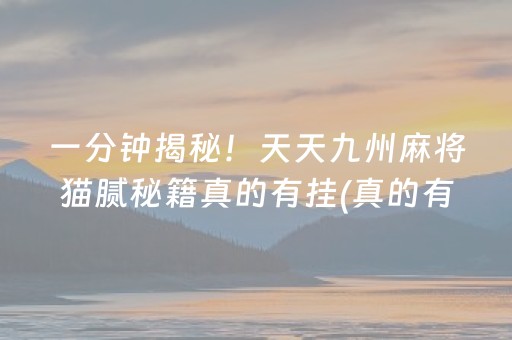 安装教程！微乐山东麻将胡牌技巧(揭秘小程序助赢软件)