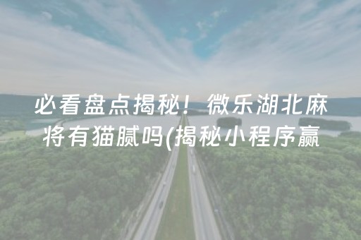 必看盘点揭秘！微乐湖北麻将有猫腻吗(揭秘小程序赢牌技巧)