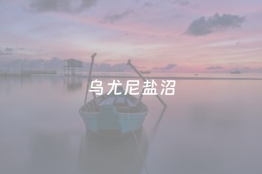 乌尤尼盐沼（乌尤尼盐沼介绍）