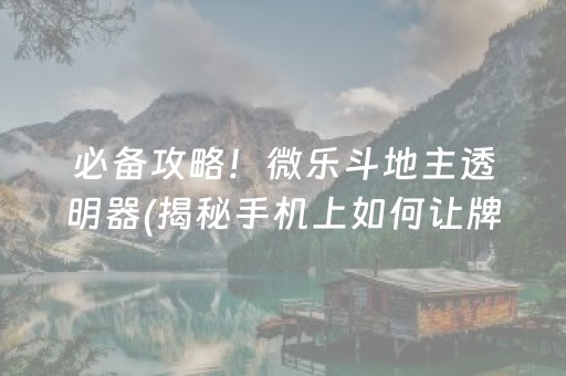 必备攻略！微乐斗地主透明器(揭秘手机上如何让牌变好)