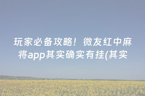 玩家必备攻略！微友红中麻将app其实确实有挂(其实确实有挂)