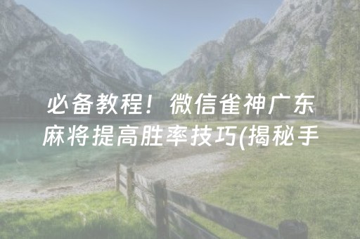 必备教程！微信雀神广东麻将提高胜率技巧(揭秘手机上插件购买)