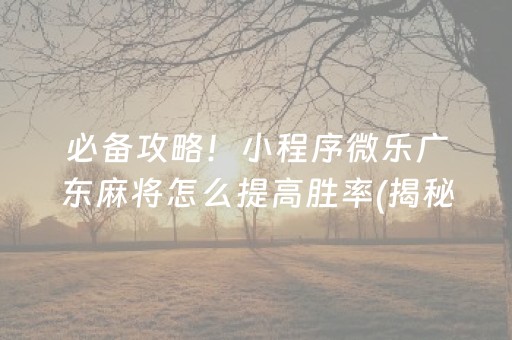 关于！微乐广西麻将脚本(其实确实有挂)