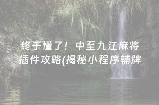 终于懂了！中至九江麻将插件攻略(揭秘小程序辅牌器)