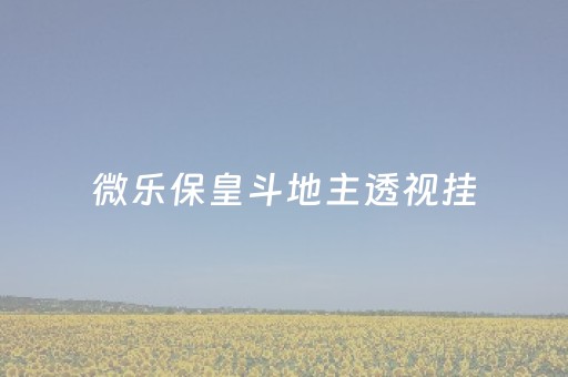 微乐保皇斗地主透视挂（小程序微乐斗地主透视挂教程）