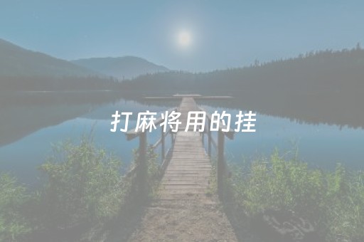 打麻将用的挂（打麻将用的挂牌叫什么）