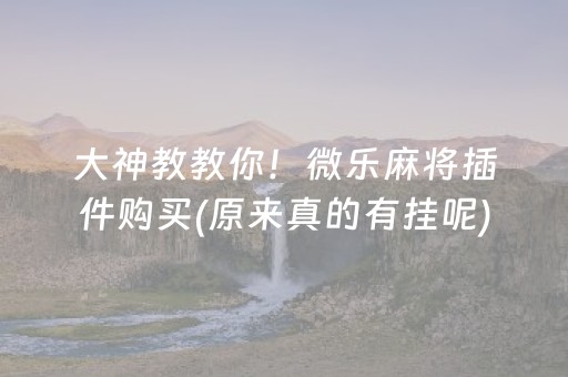 终于懂了！微乐河北麻将自建房输赢规律(揭秘手机上最新神器下载)