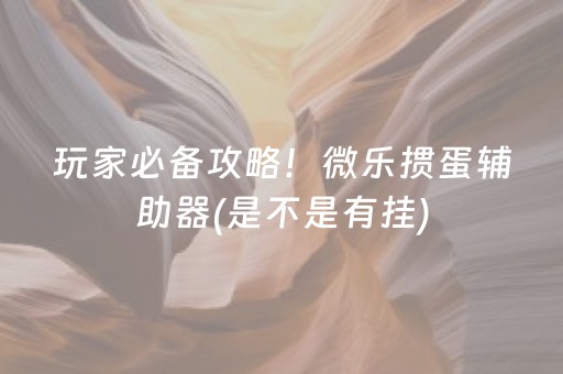 玩家必备攻略！微乐掼蛋辅助器(是不是有挂)