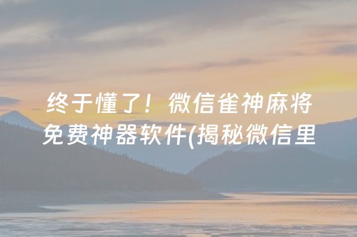 终于懂了！微信雀神麻将免费神器软件(揭秘微信里插件免费)